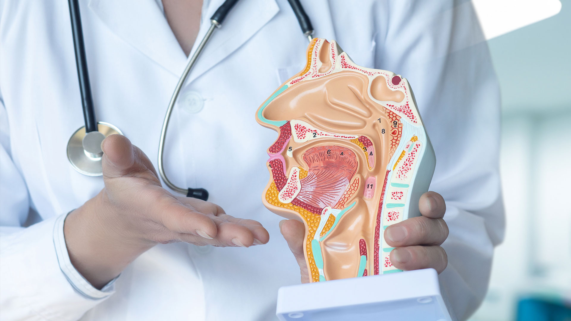ENT New York | Thyroid  Parathyroid, Voice  Throat Evaluation and Allergy Consultation