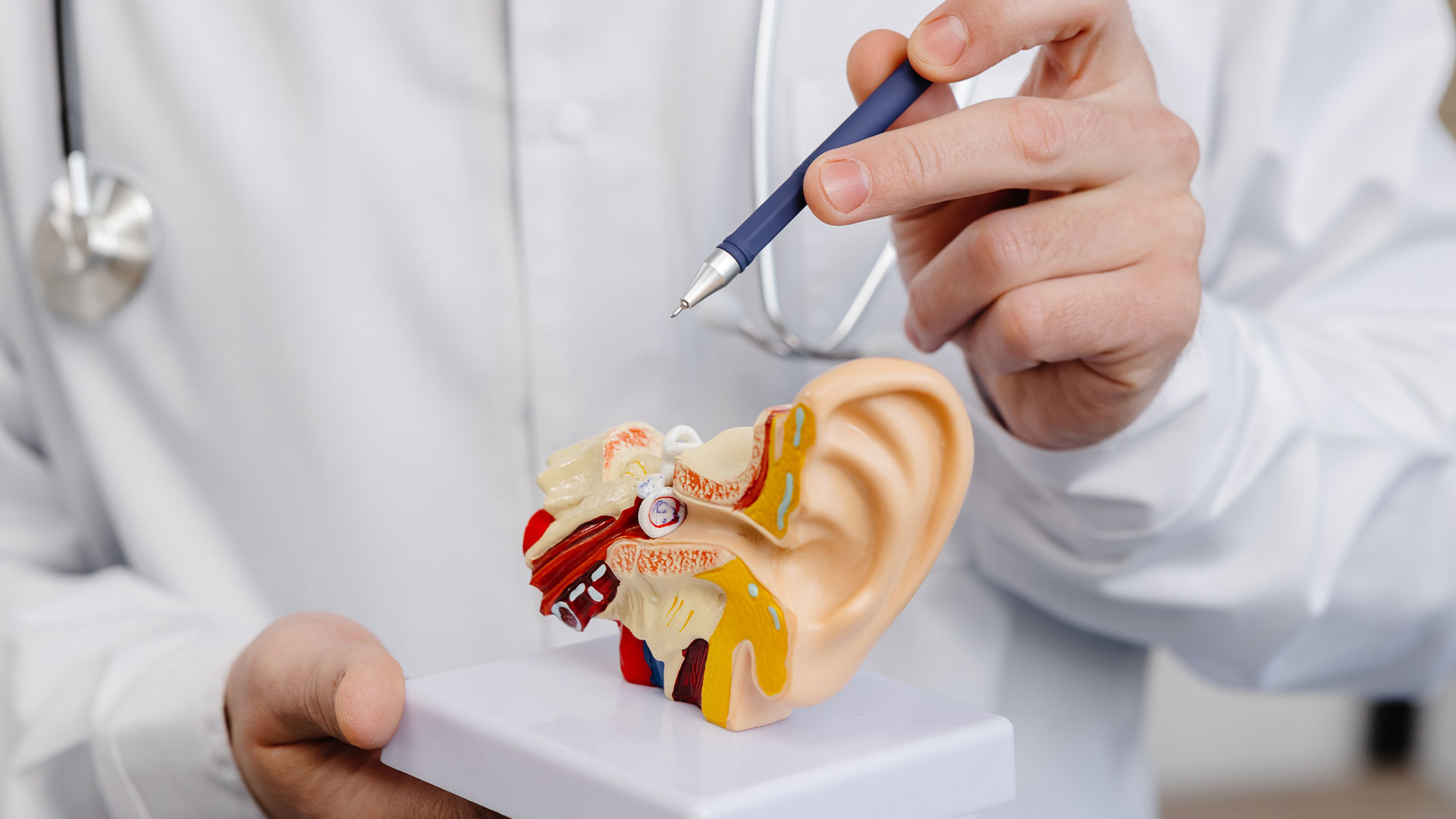 ENT New York | Ear Infection, Sleep Apnea and Hearing Evaluation