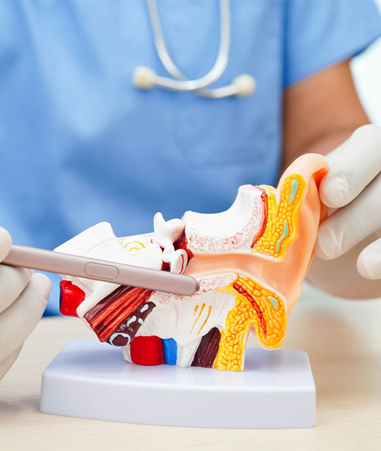 ENT New York | Voice  Throat Evaluation, Allergy Consultation and Sleep Apnea