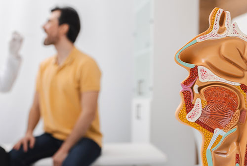 ENT New York | Voice  Throat Evaluation, Ear Infection and Allergy Consultation
